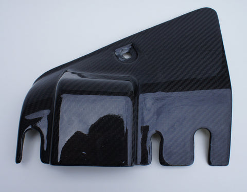 Relay Cover in Carbon Fiber